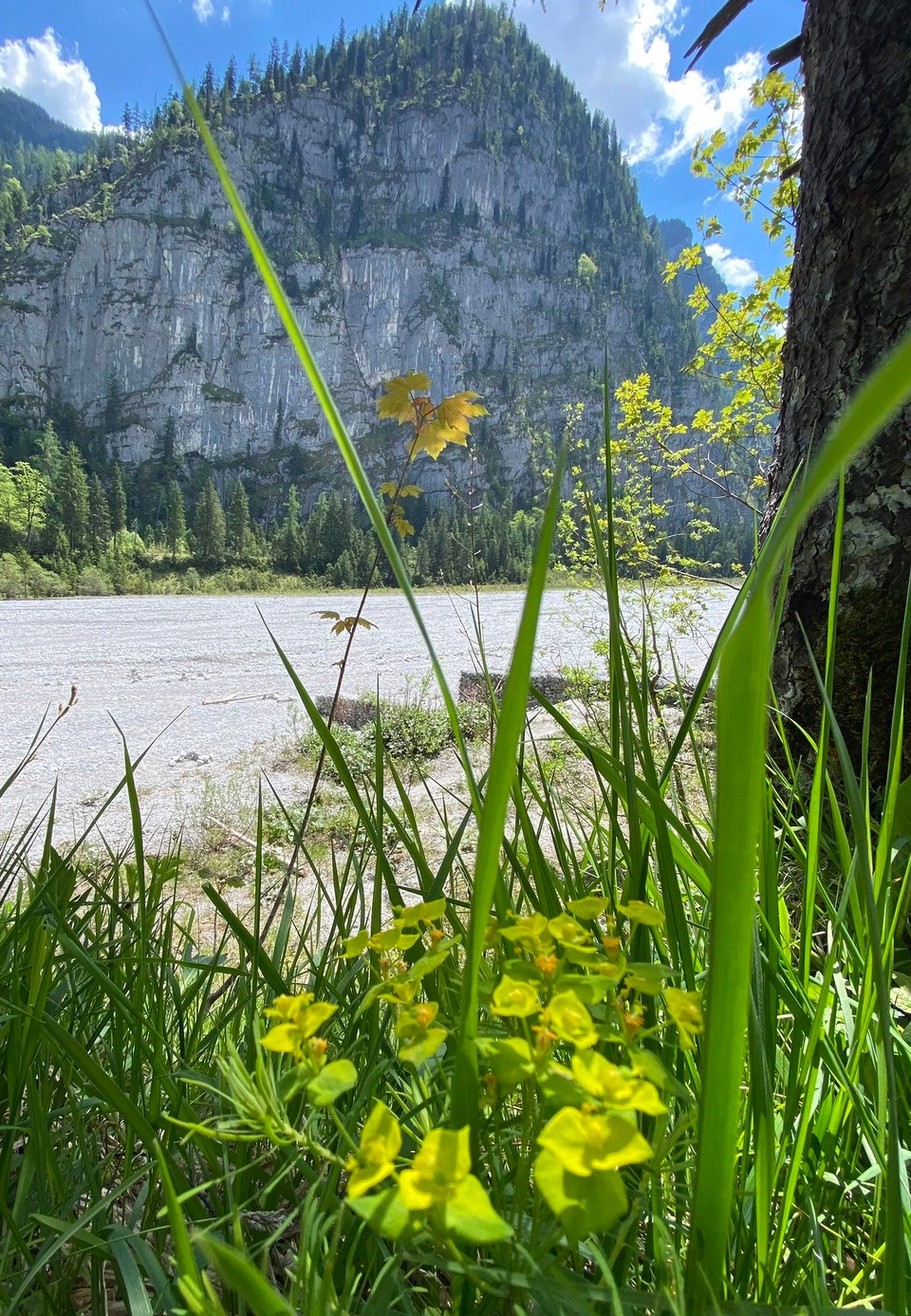 Deutschland - Ramsau bei Berchtesgaden - 