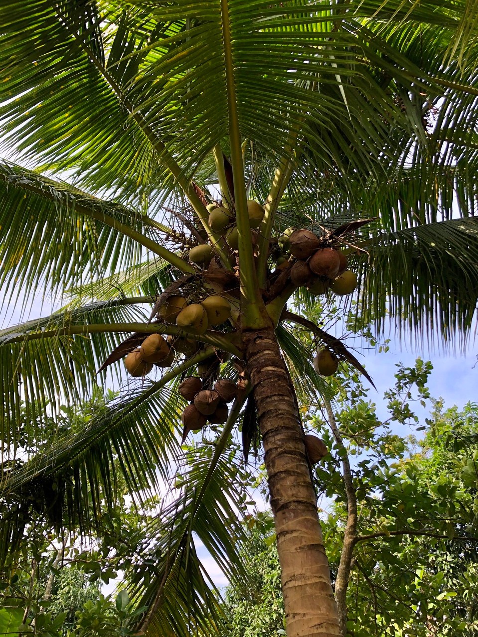 Vietnam - Tp. Châu Đốc - 