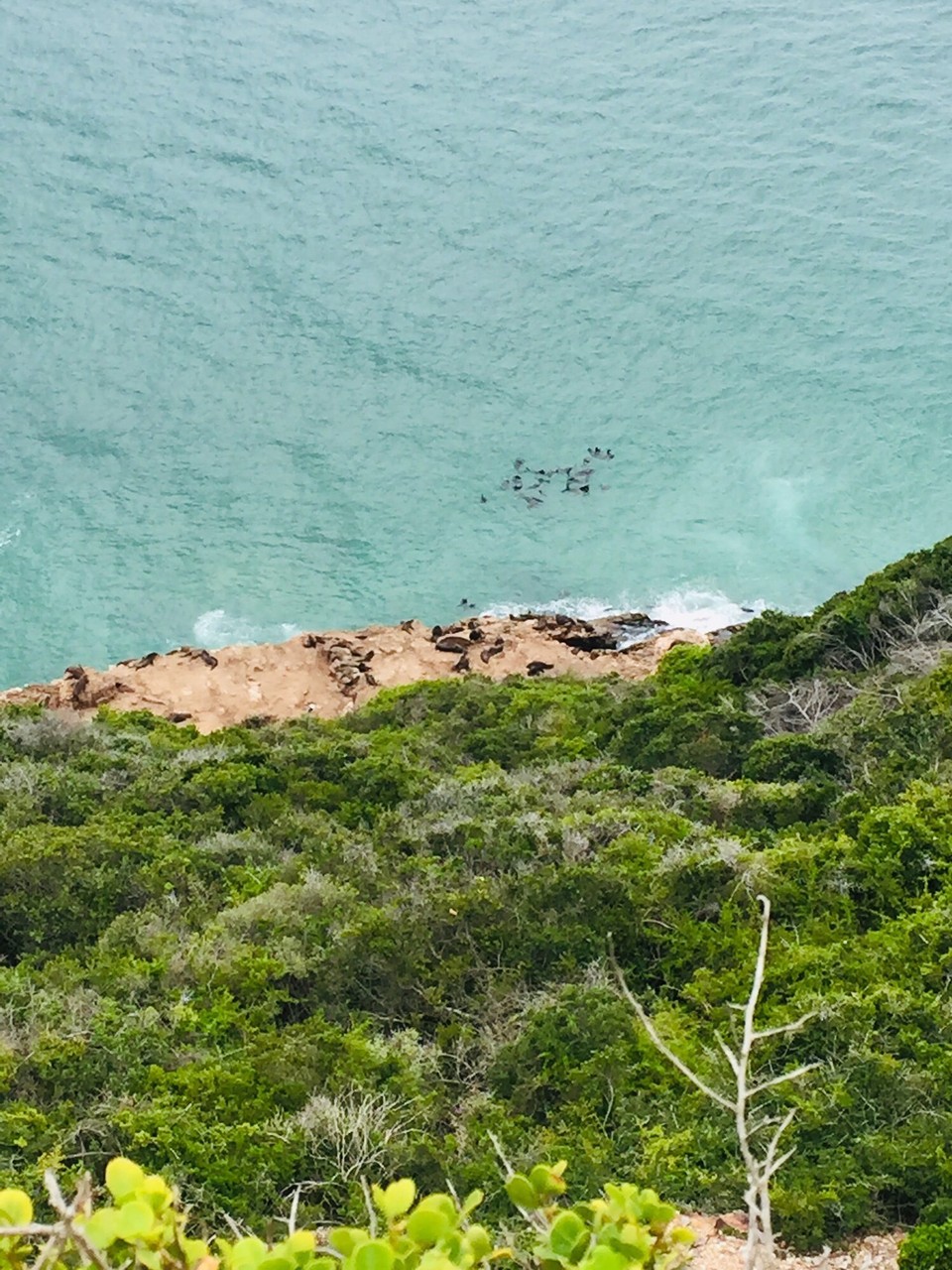 Südafrika - Plettenberg Bay - 