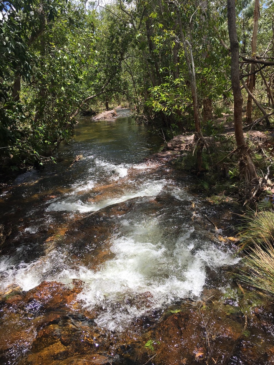 Australien - Litchfield Park - Der Litchfield NP