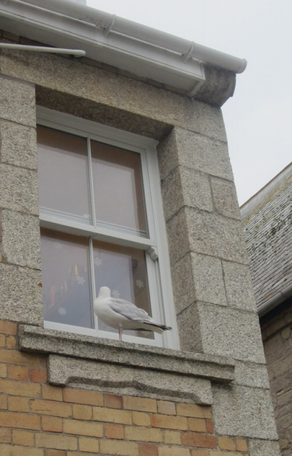 Vereinigtes Königreich - Newquay - 