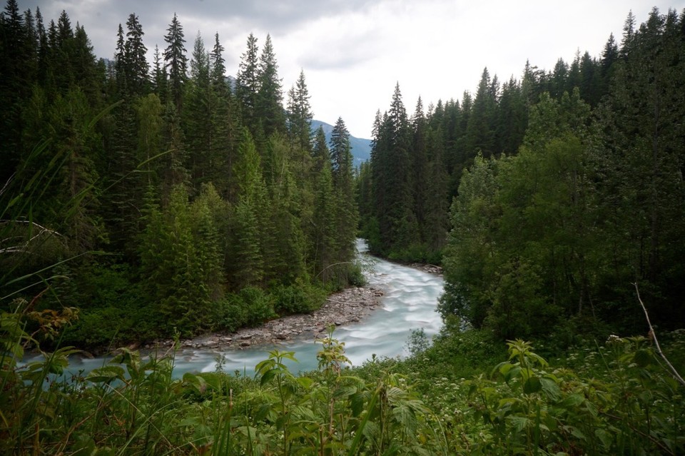Kanada - Valemount - 