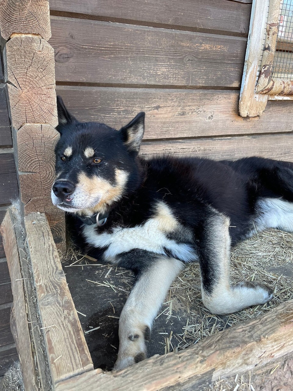 Finnland - Saariselkä - Danach erst mal chillen…