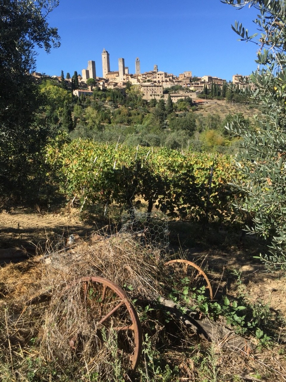 Italien - San Gimignano - Was für ein schöner Blick! 