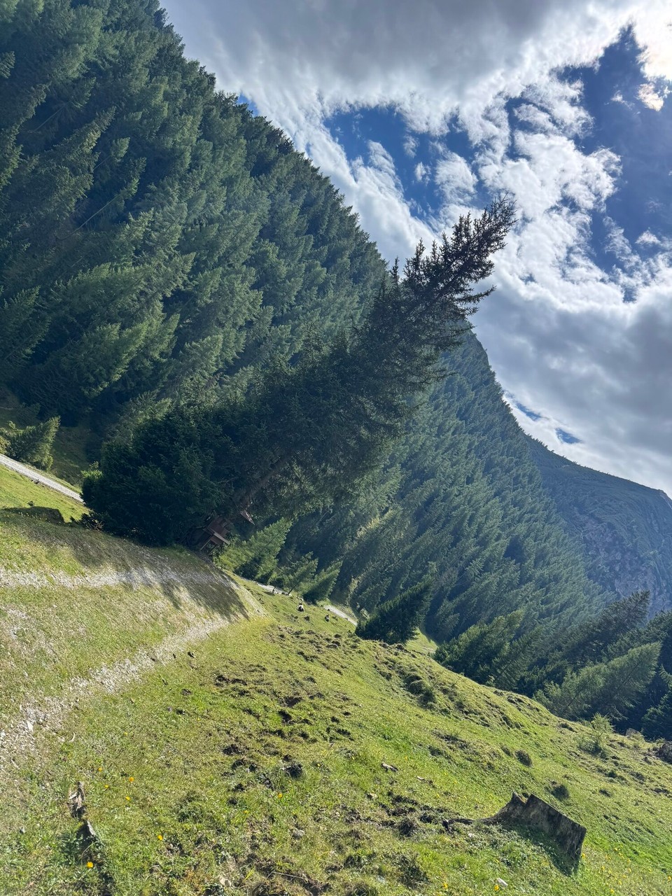 Österreich - Mühlbachl - … und sonnig! 