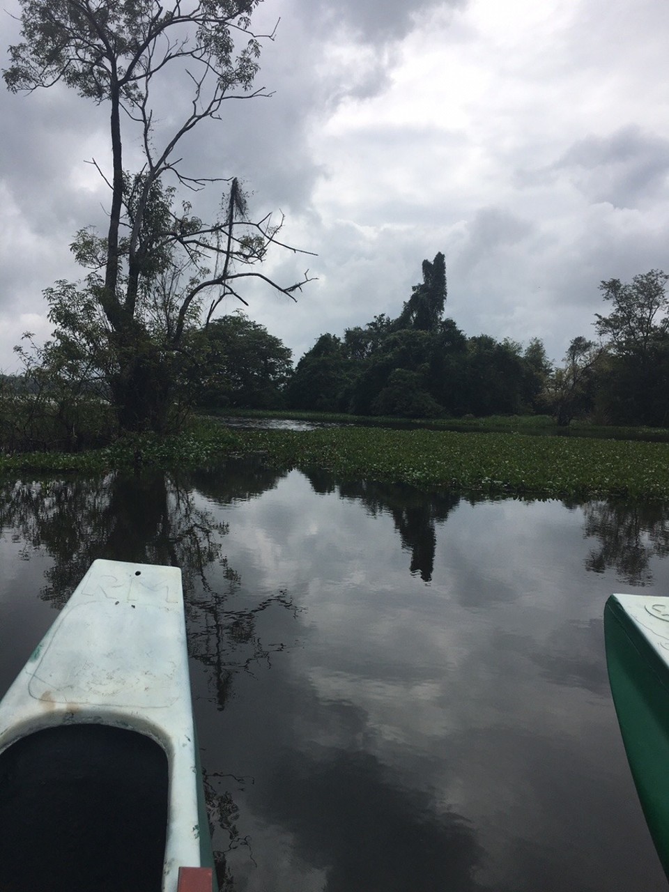 Sri Lanka -  - 