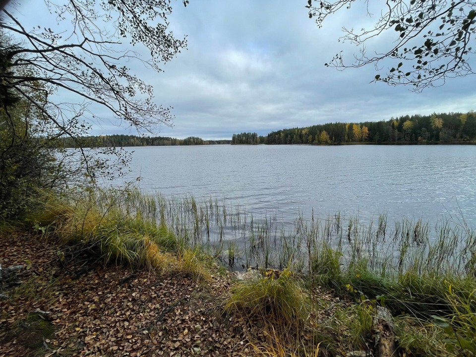 Finnland - Liesjärvi - 