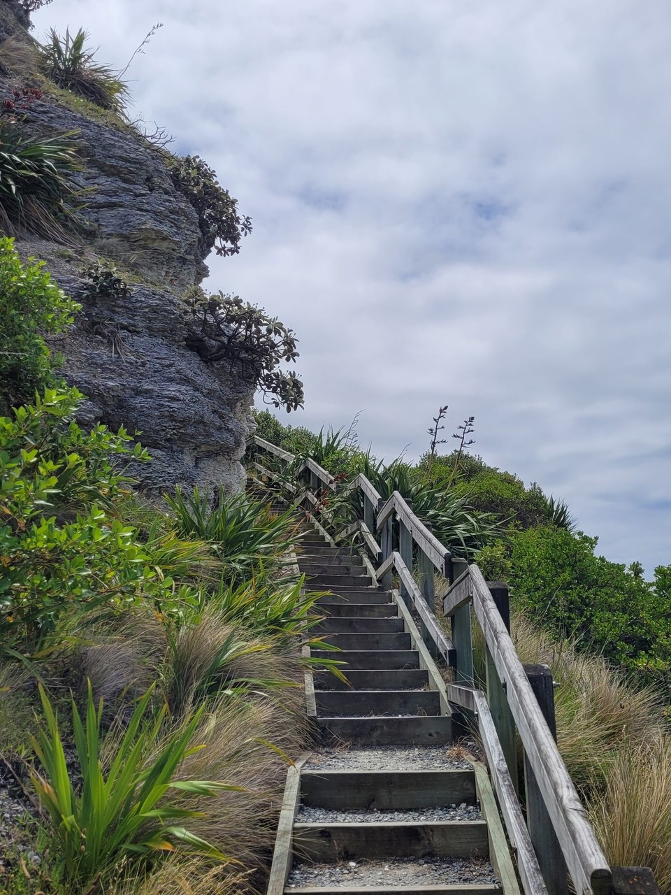 Neuseeland - Kaikoura - 