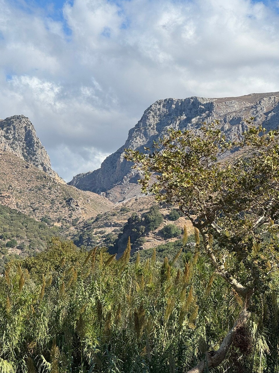 Griechenland - Myrthios - 