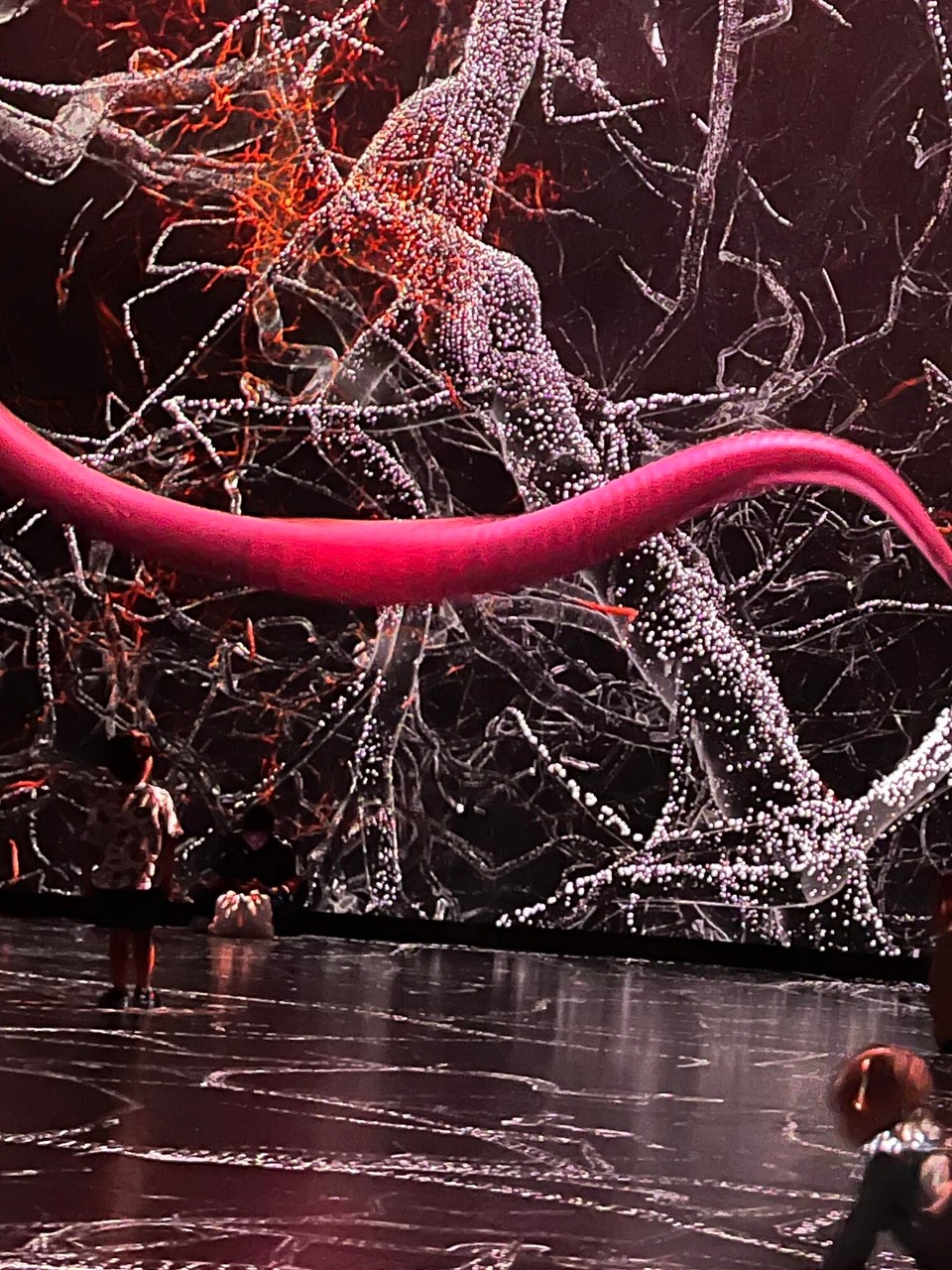 Vereinigte Staaten - New York - 