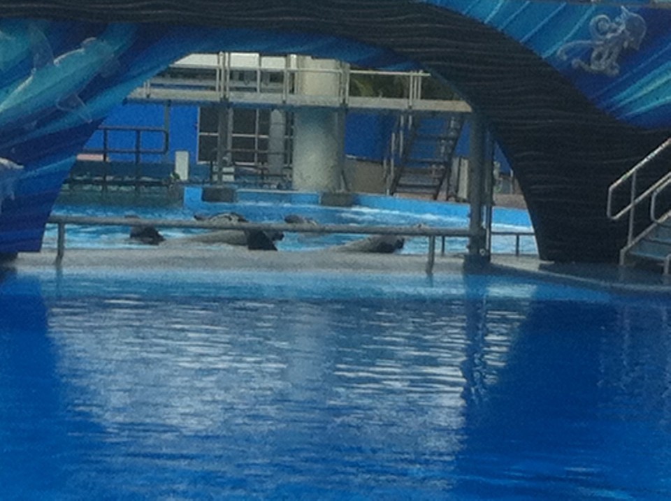 Egyesült Államok - Orlando - 