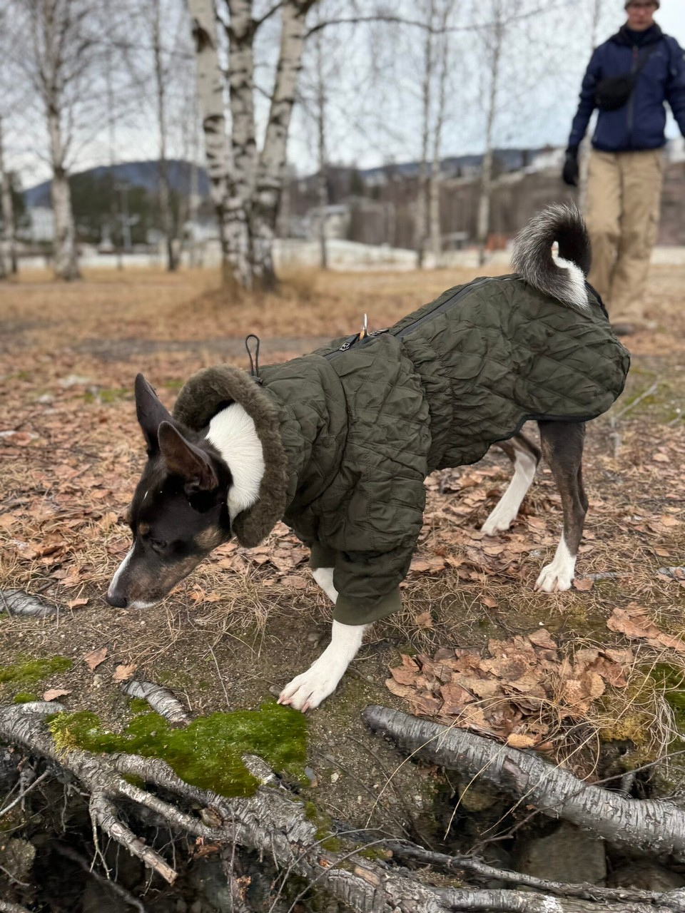 Norwegen - Lillehammer - 