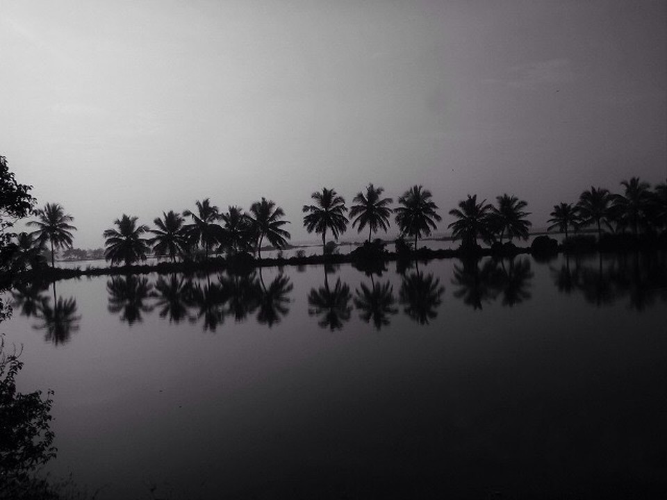 Indien - Kochi - Krabbenfarm
