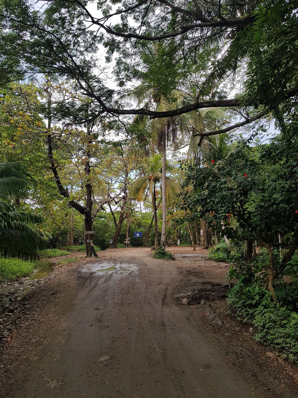 Costa Rica - Santa Teresa - Weg zum Strand