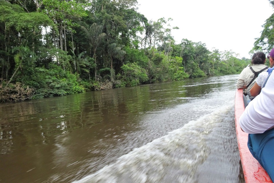 Ecuador - unbekannt - the trip to the lodge