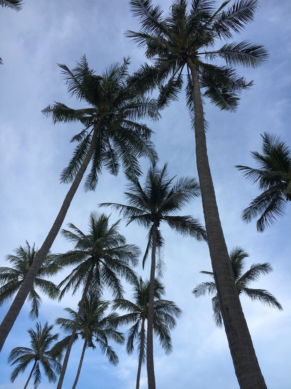 Thailand - Ko Tao - 