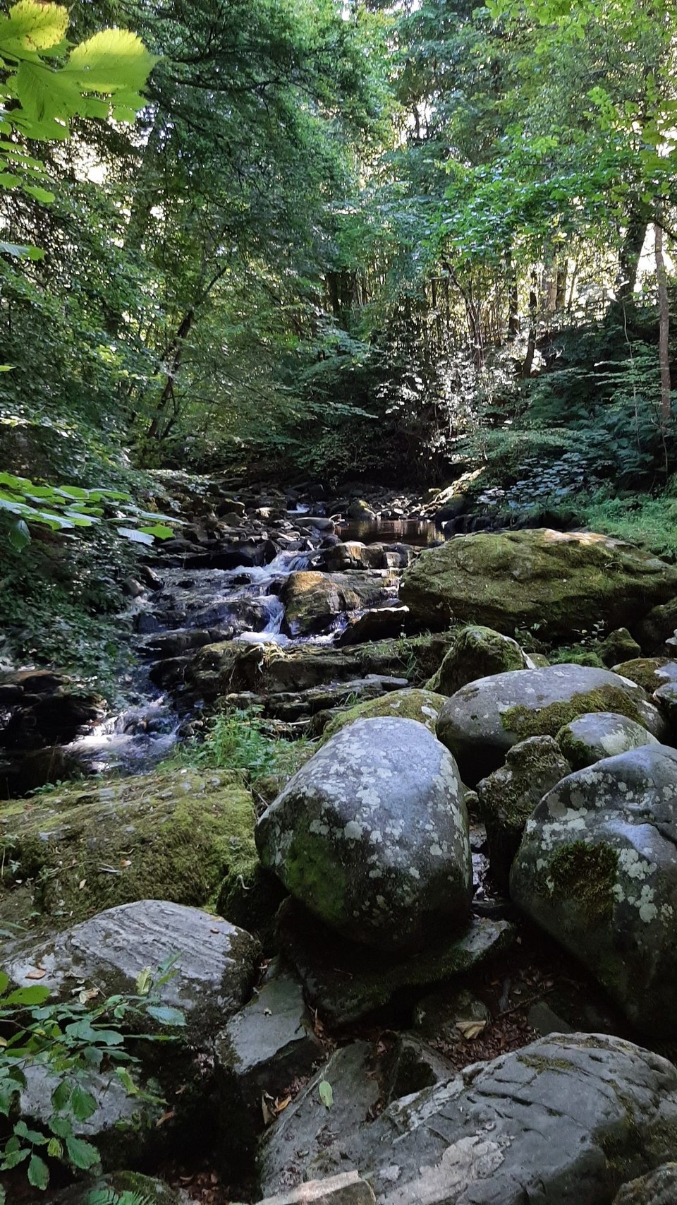 Vereinigtes Königreich - Aberfeldy - "The birks of Aberfeldy"