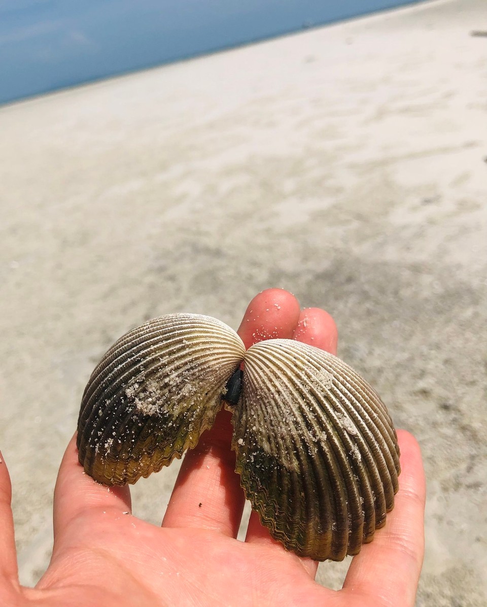 Thailand - Koh Samui - 