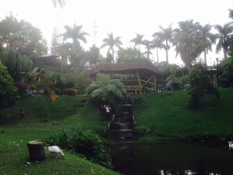 Colombia - Armenia - Im Parque de la Vida - Armenia