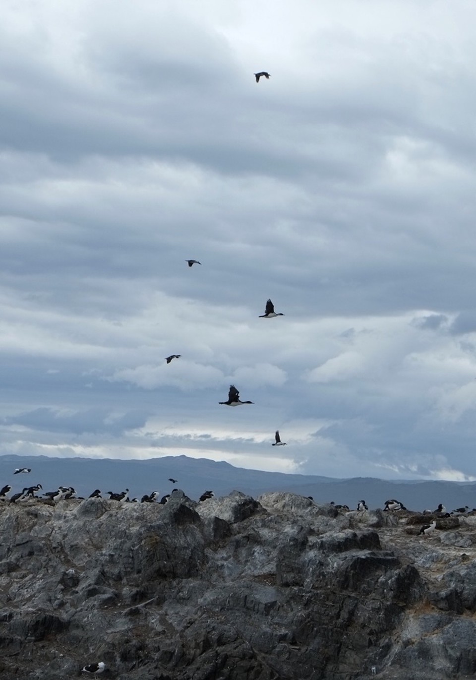 Argentina - Ushuaia - 
