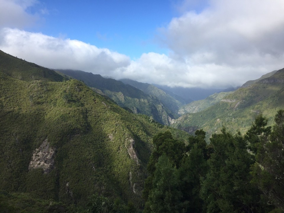 Portugal - Rabaçal - 