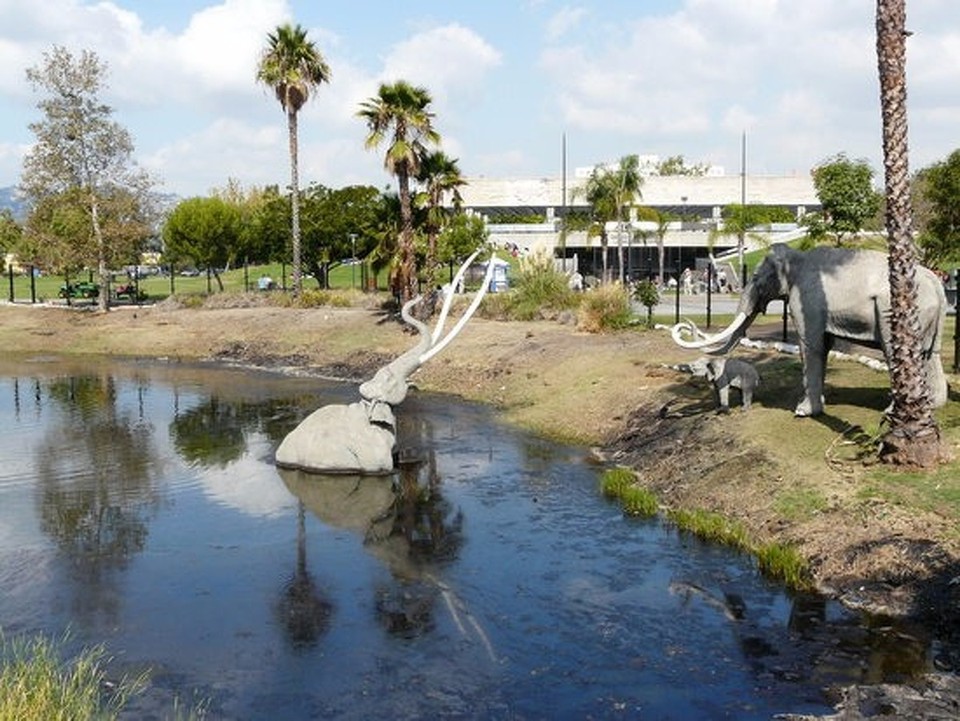 United States - Beverly Hills - La Brea tar pits