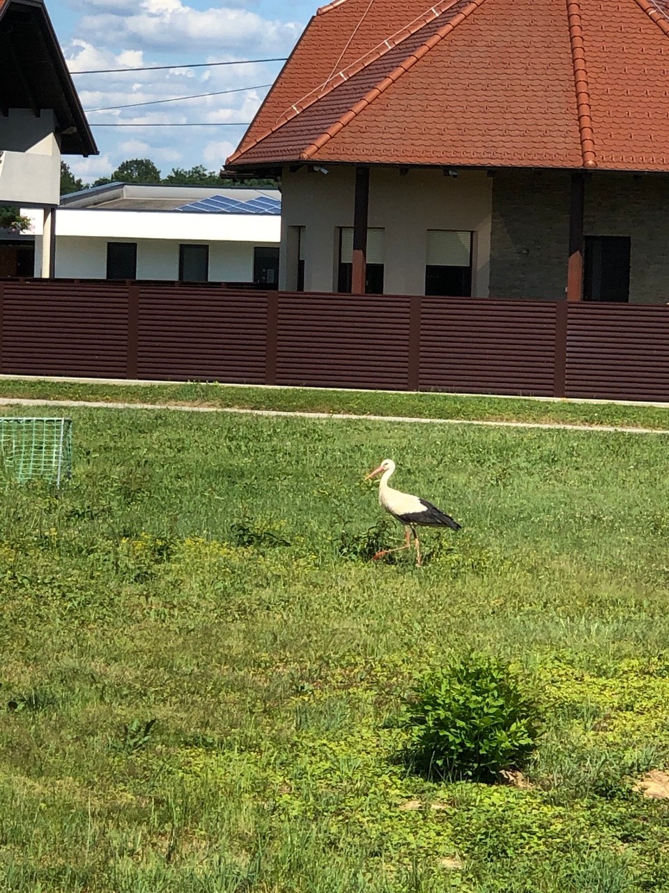 Slowenien - Jeruzalem - 