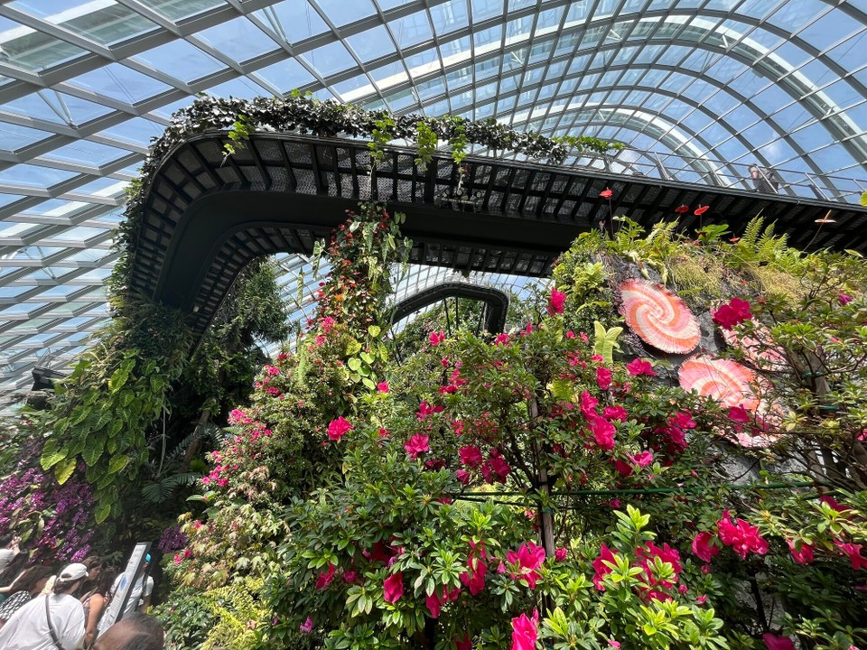 Singapur - Singapur - 