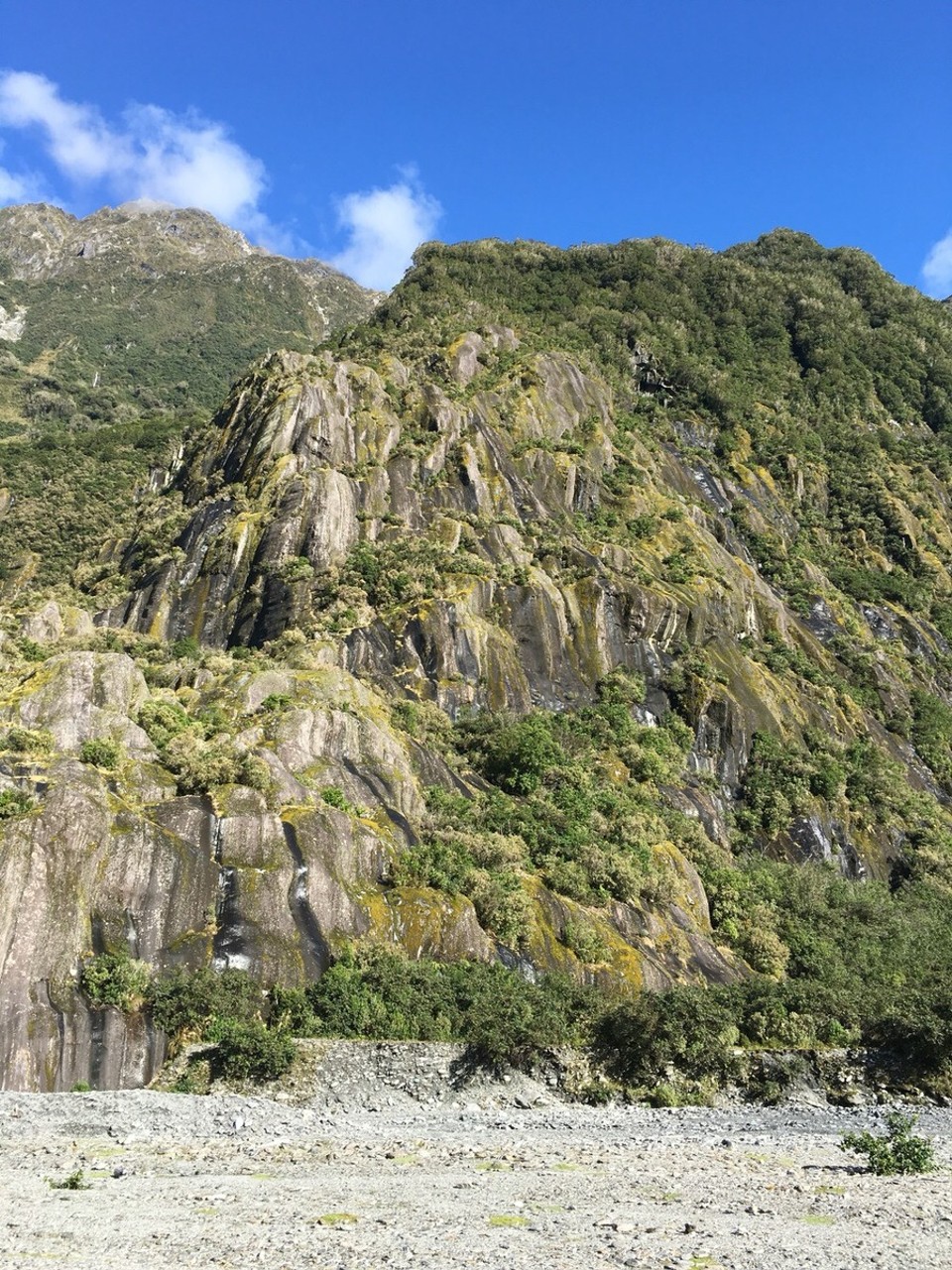 New Zealand - Franz Josef Glacier - Die Natur ist so facettenreich, so atemberaubend- da fehlen einem fast die Worte, also fast :) 
