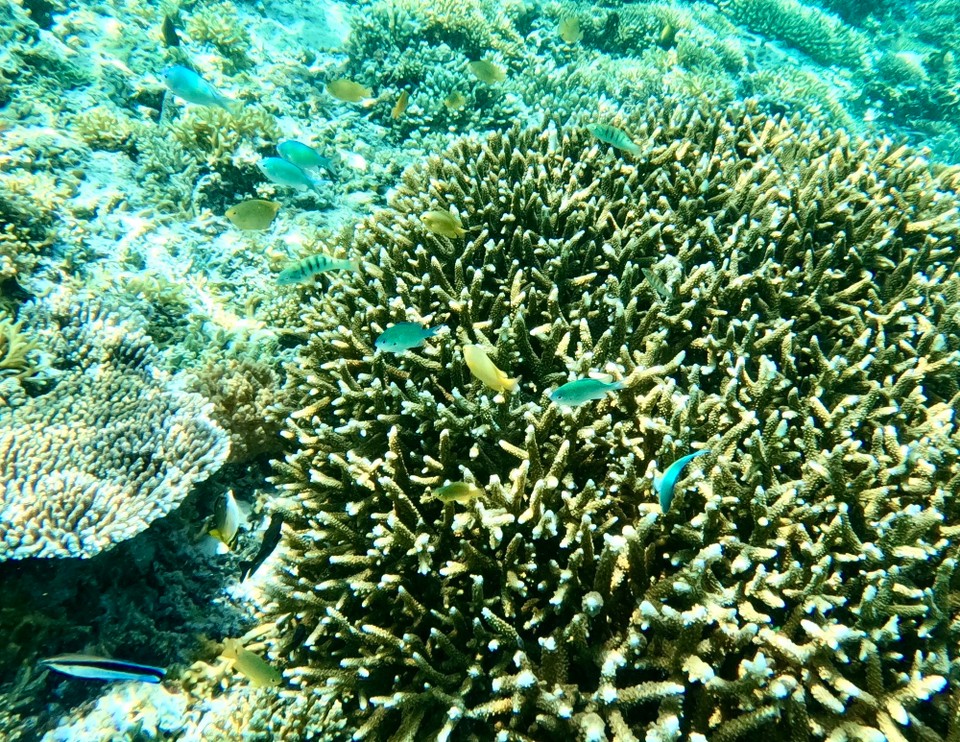 Indonesien - Kabupaten Lombok Utara - 