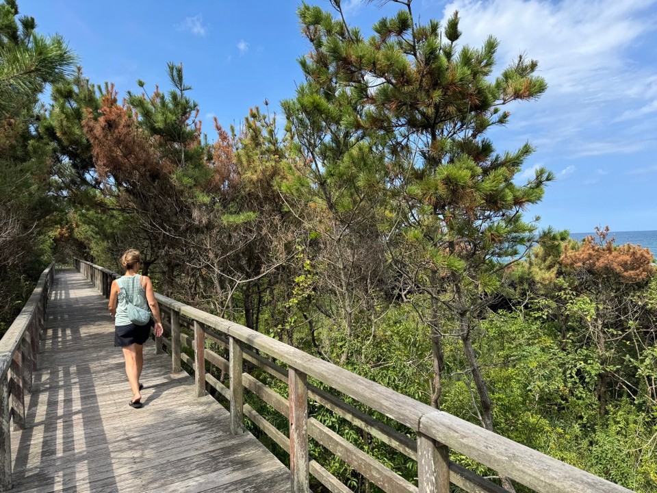 Japan - Narita - Wanderweg am Strand