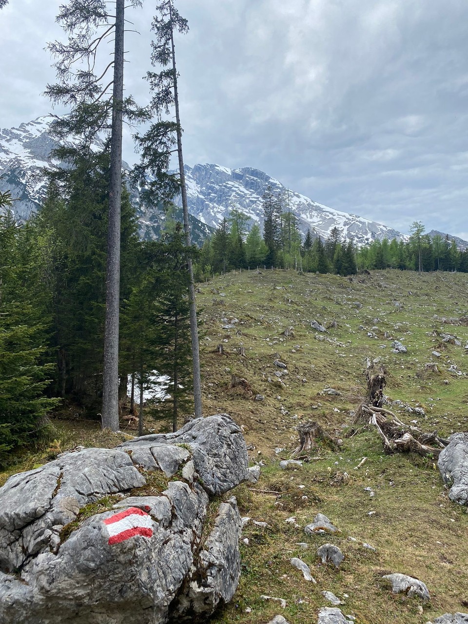 Deutschland - Ramsau bei Berchtesgaden - 