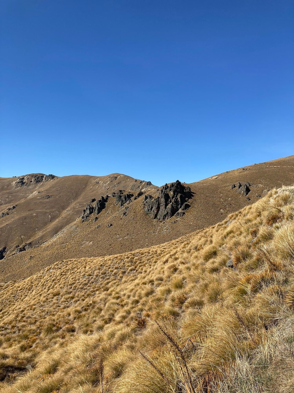 Neuseeland - Lake Hāwea - 