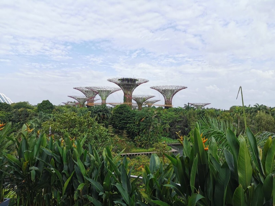 Singapur - Singapur - 