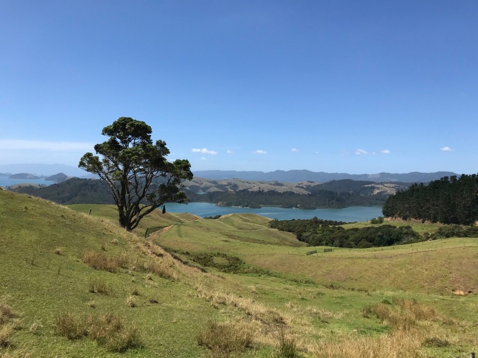 Neuseeland - Coromandel - 