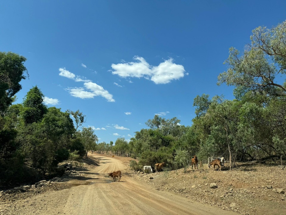 Australien - Forsayth - 