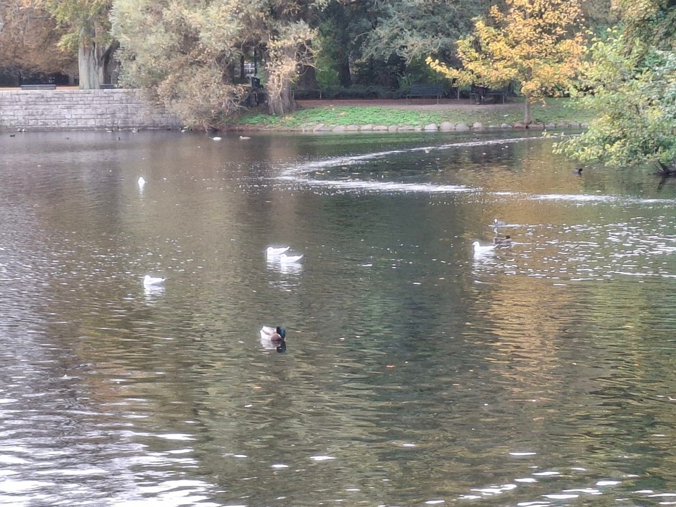 Schweden - Slottsparken - 