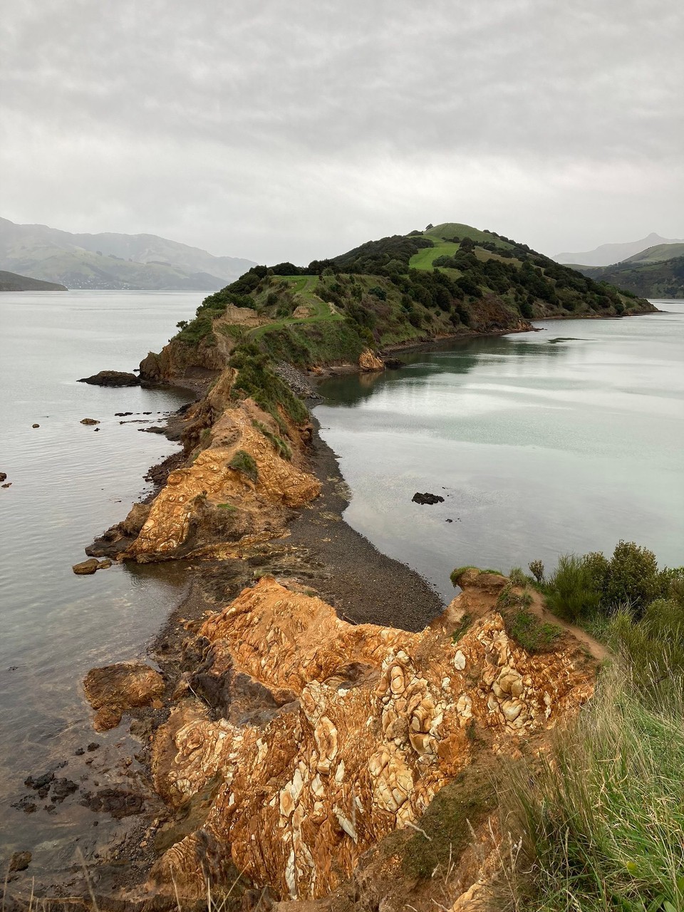 Neuseeland - Duvauchelle - 