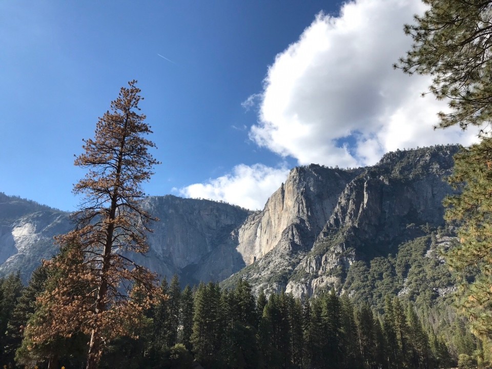 USA - Yosemite-Nationalpark - 