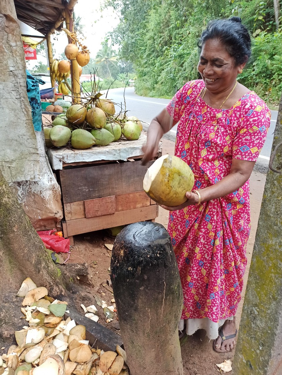 Indien - Suryanelli - Die Kokosnuss Verkäuferin am Straßenrand öffnet mir mit gekonnten Ziehen meine Kokosnuss. 