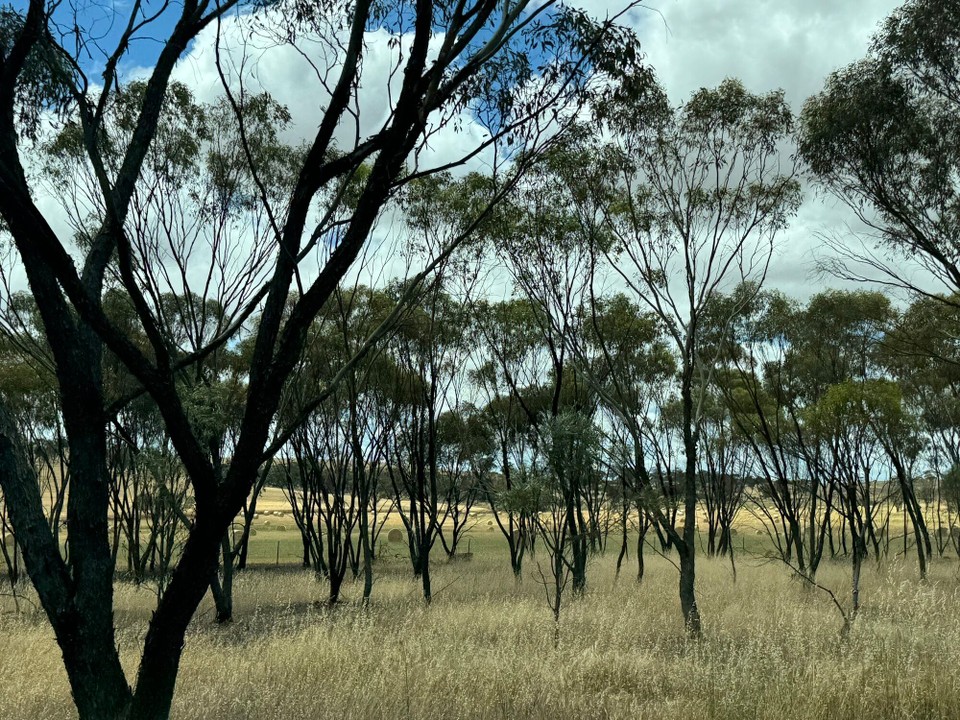 Australien - Kalgoorlie - 
