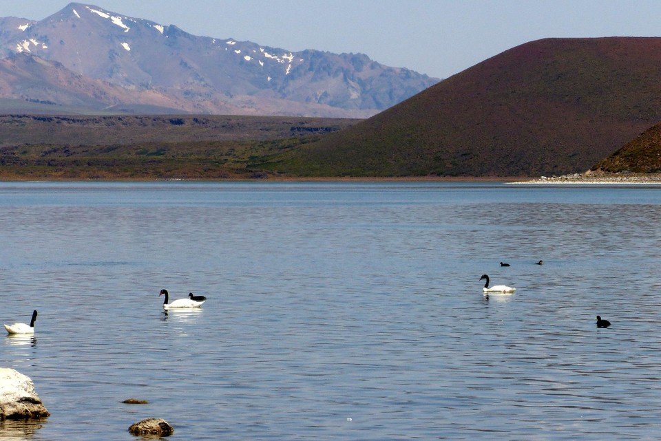 Argentinien - San Martín de los Andes - Laguna Blanca NP