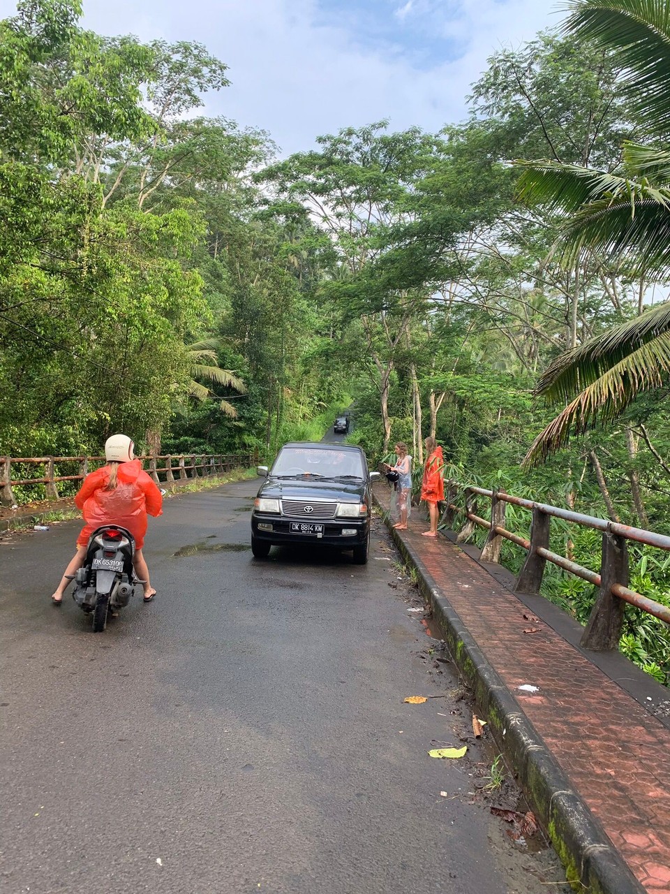 Indonesia - Denpasar - chasing waterfalls but there where these wholes on the way 🤷🏼‍♀️