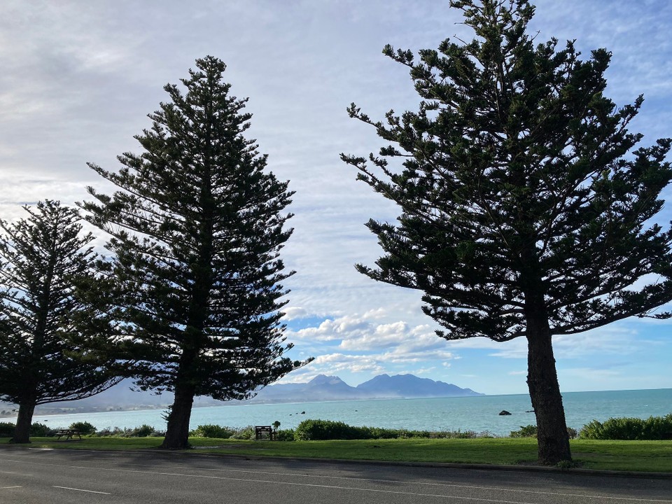 Neuseeland - Kaikōura - 
