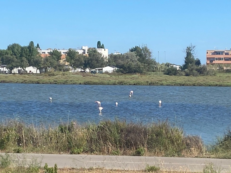 Frankreich - Carnon - 