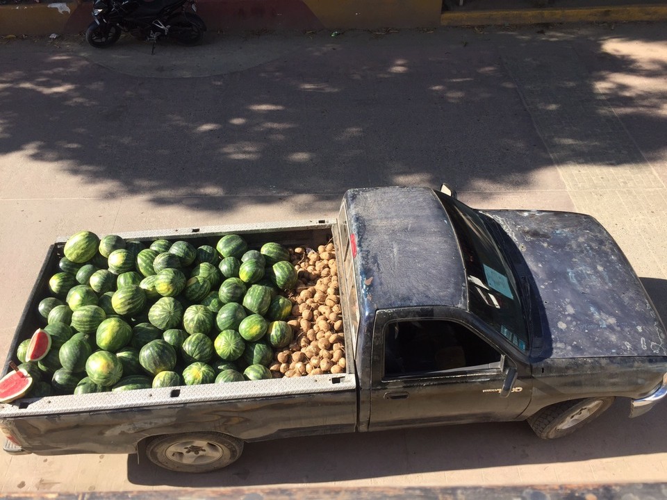 Mexiko - San Pancho - fresh 🍉🍉🍉 für San Pancho! Später sahen wir den gesamten Ort mit Wassermelonen versorgt - es hat schon seine Vorteile, am Ortseingang zu wohnen