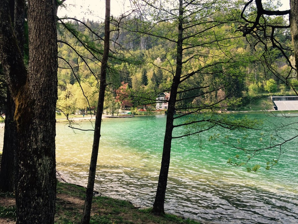 Slowenien - Zirovnica - Der Bleder See in türkis-blau