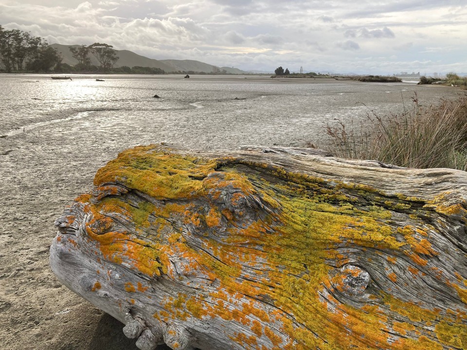 Neuseeland - Manutuke - 