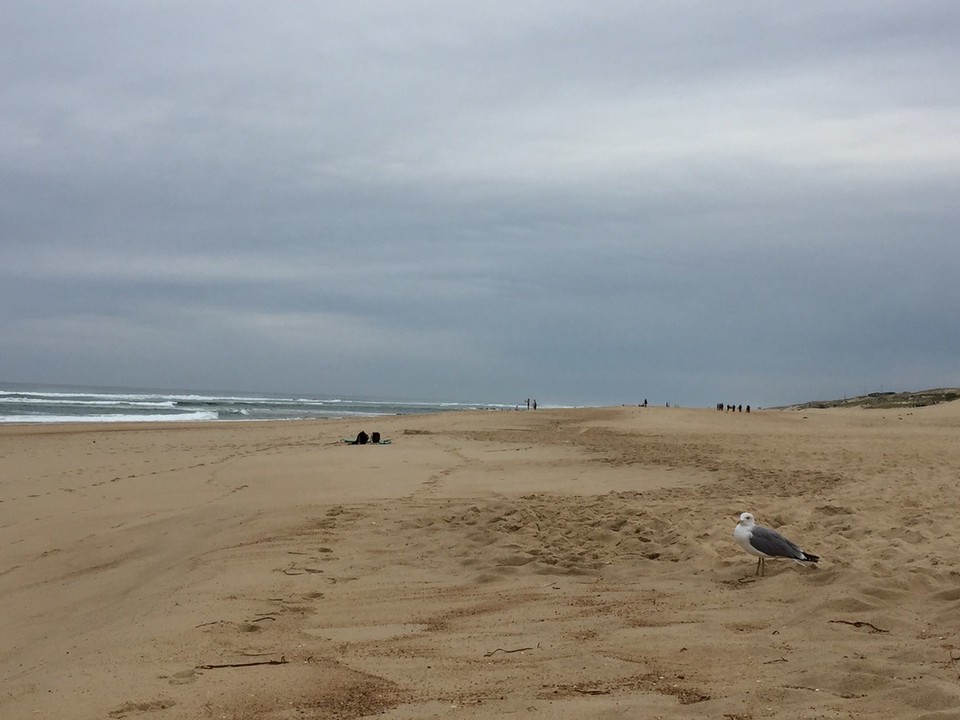 Frankreich - Vieux-Boucau-les-Bains - 