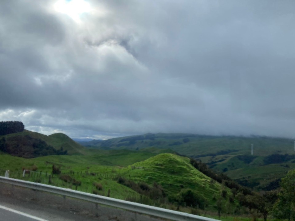 Neuseeland - Palmerston North - Einen Riesenhügel hoch …